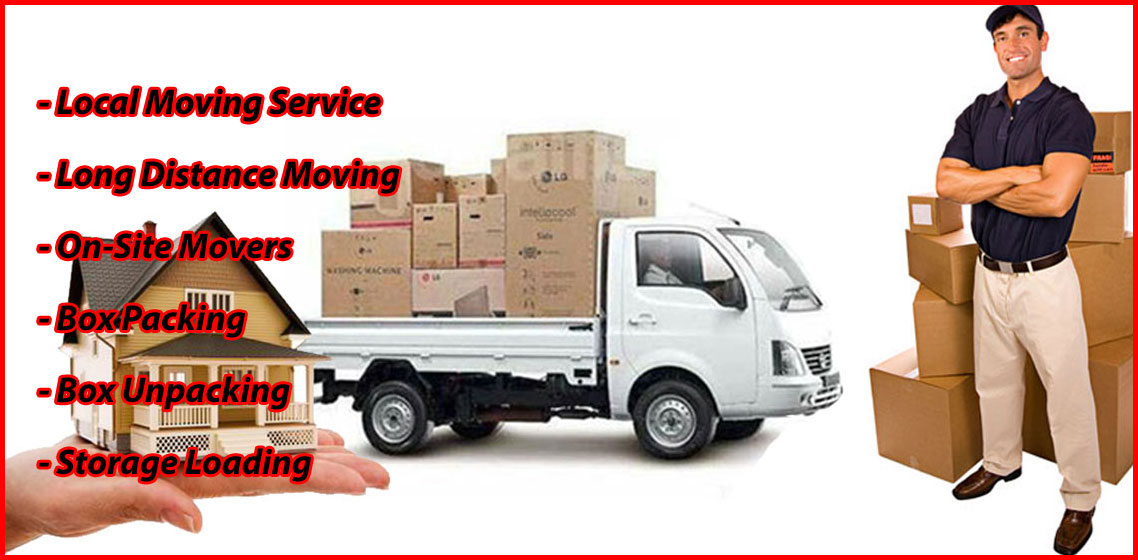 Packers And Movers Noida Sector 123